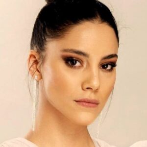 تصویر هنرمند Dilin Döğer