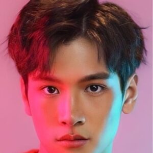 تصویر هنرمند Peerakrit Phacharaboonyakiat