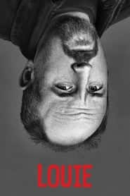 پوستر رسمی سریال Louie (2010)