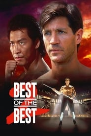پوستر رسمی فیلم Best of the Best 2 (1993)