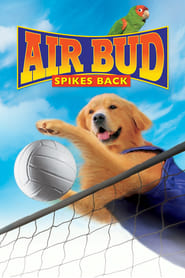 پوستر رسمی فیلم Air Bud: Spikes Back (2003)