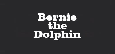 کالکشن Bernie the Dolphin